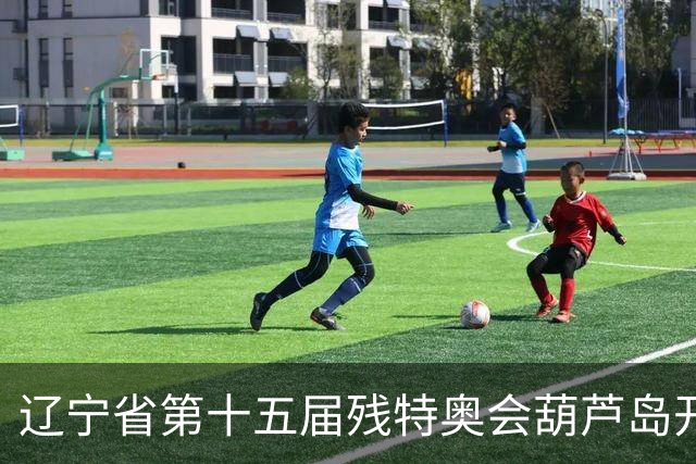 辽宁省第十五届残特奥会葫芦岛开赛 356名健儿参与角逐